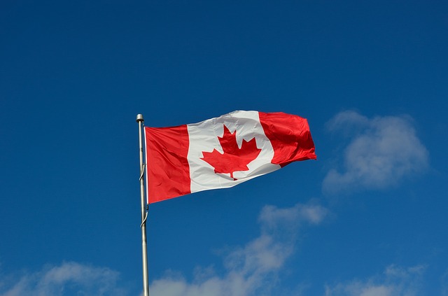 Kanadská vlajka.jpg